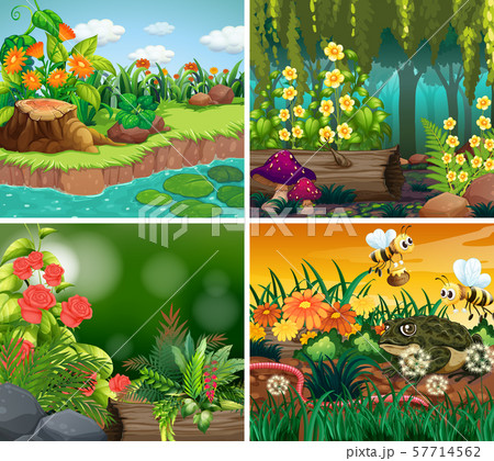 Set of background scene with nature theme 57714562