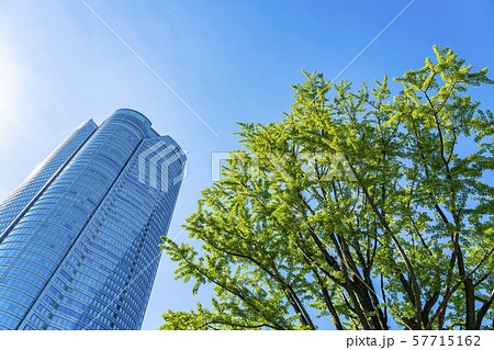 【東京都】六本木ヒルズ 57715162