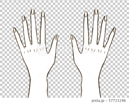 女性の手 57715296