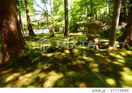 京都大原野 57715699