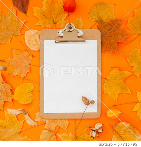 Autumn clipboard mockup with fall leaves Autumn clipboard mockup with fall leaves 57715795