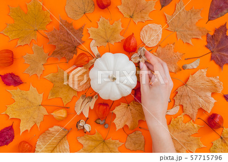 Autumn flat lay composition with white pumpkin Autumn flat lay composition with white pumpkin 57715796