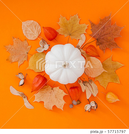 Autumn flat lay composition with white pumpkin 57715797
