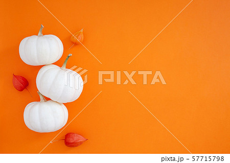 Autumn flat lay composition with white pumpkins 57715798