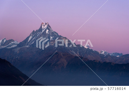 Fishtail peak or Machapuchare mountain during sunset Fishtail peak or Machapuchare mountain during sunset 57716014