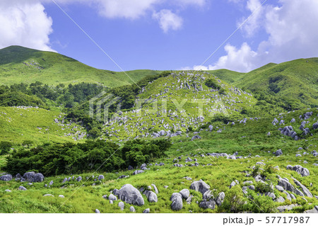 平尾台の美しい景色 57717987