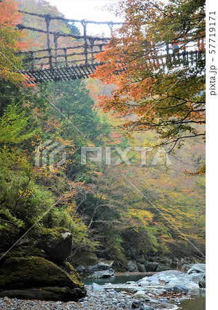 四国観光かづら橋 57719171
