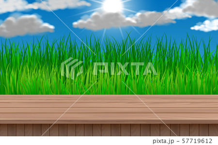 wooden table with the green grass background wooden table with the green grass background 57719612