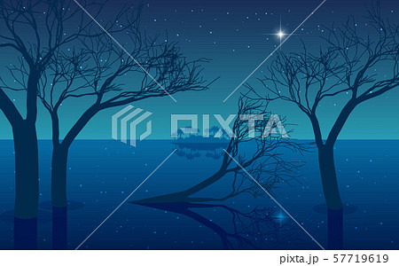 landscape of mangrove forest on the beach in the night landscape of mangrove forest on the beach in the night 57719619