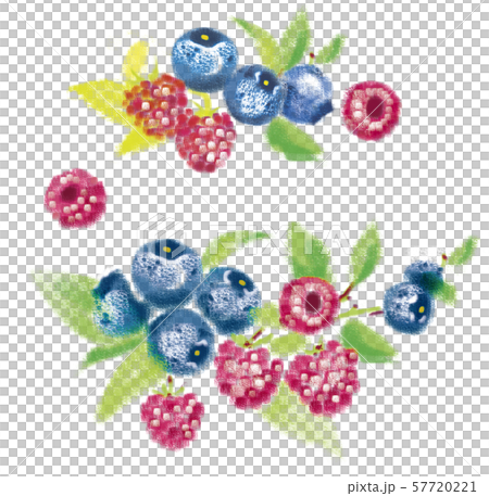 Watercolor hand painted paint raspberry blueberry - Stock Illustration ...