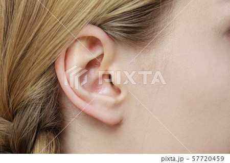Close up on female ear and braid hair Close up on female ear and braid hair 57720459