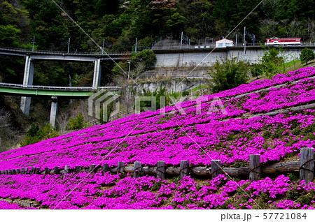 芝桜とアプト式鉄道 57721084