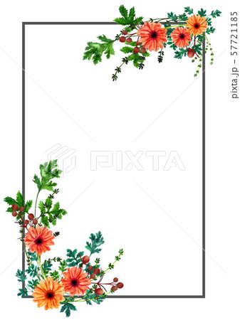 花とハーブのフレームのイラスト素材