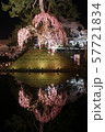弘前城の桜 57721834