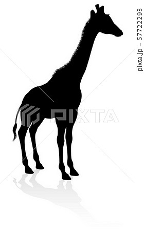 Giraffe Animal Silhouette Giraffe Animal Silhouette 57722293