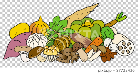 秋季の野菜 57722436