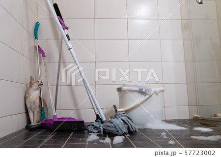 Broom and mop with bucket and cat, in white and black tile background. Broom and mop with bucket and cat, in white and black tile background. 57723002