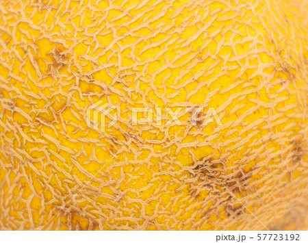 Yellow melon close up.  57723192