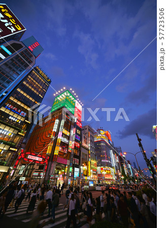 日本の東京都市景観　新宿・歌舞伎町などを望む 57723506