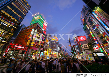 日本の東京都市景観　新宿・歌舞伎町などを望む 57723507