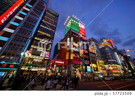 日本の東京都市景観　新宿・歌舞伎町などを望む 57723509