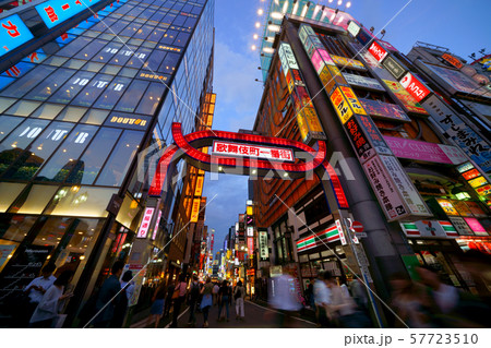 日本の東京都市景観 新宿・歌舞伎町などを望む 日本の東京都市景観 新宿・歌舞伎町などを望む 57723510