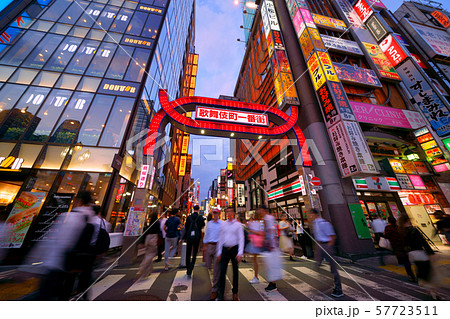 日本の東京都市景観 新宿・歌舞伎町などを望む 日本の東京都市景観 新宿・歌舞伎町などを望む 57723511