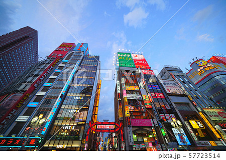 日本の東京都市景観　新宿・歌舞伎町などを望む 57723514