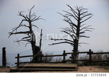 国立公園 徳裕山 サンギェル 57723839