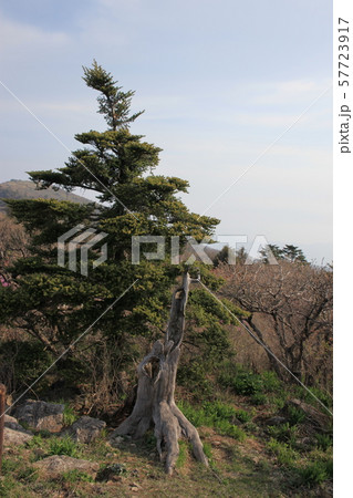 国立公園 徳裕山 サンギェル 57723917