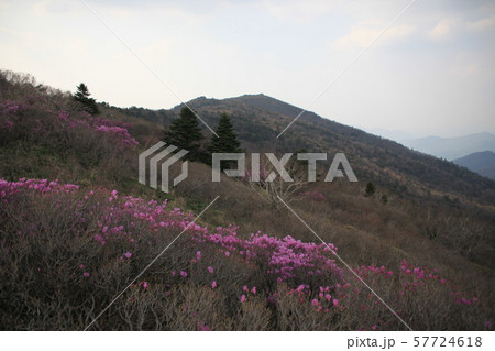 国立公園 徳裕山 日没 57724618