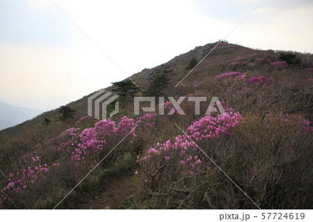 国立公園 徳裕山 日没 57724619