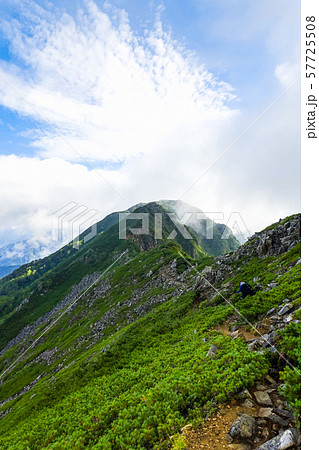 北アルプス・赤沢岳方面から望む鳴沢岳 57725508