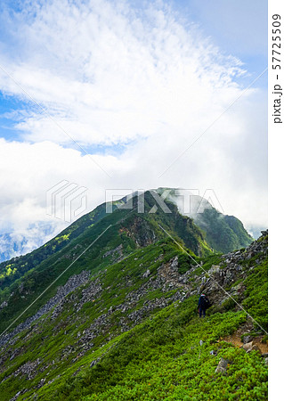 北アルプス・赤沢岳方面から望む鳴沢岳 57725509