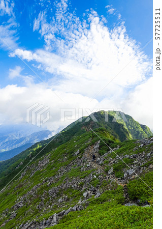 北アルプス・赤沢岳方面から望む鳴沢岳 57725511