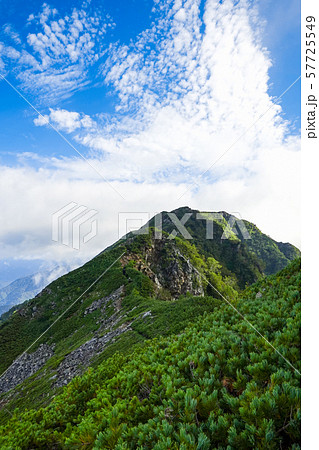 北アルプス・赤沢岳方面から望む鳴沢岳 57725549