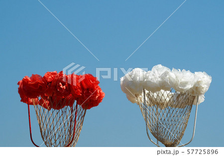 紅白　玉入れ　運動会 57725896