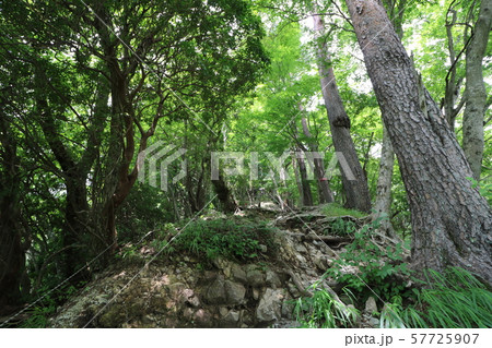 神奈川県の丹沢の鍋割山の登山 神奈川県の丹沢の鍋割山の登山 57725907