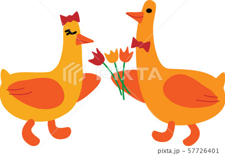 Retro cartoon couple birds. Vector illustration. Retro cartoon couple birds. Vector illustration. 57726401