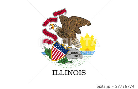 Flag of the USA State of Illinois, vector 57726774