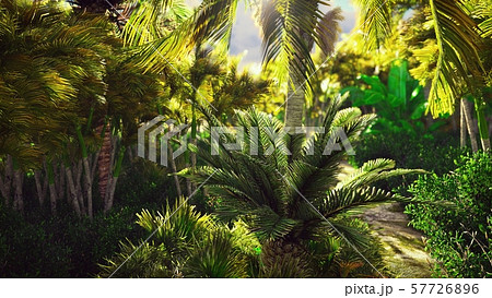 Flying through the green jungle.Green jungle trees and palm trees with blue sky and bright sun. 3D Flying through the green jungle.Green jungle trees and palm trees with blue sky and bright sun. 3D 57726896
