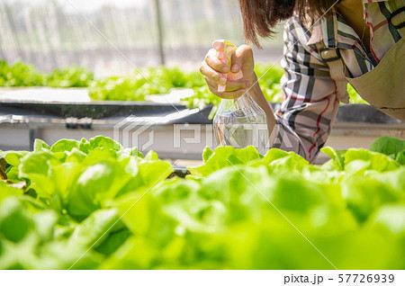 Closeup of foggy water spray bottle in female 57726939