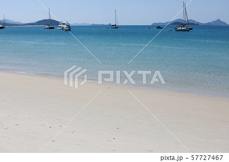 オーストラリ・ハミルトン島 57727467