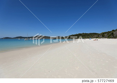 オーストラリ・ハミルトン島 57727469