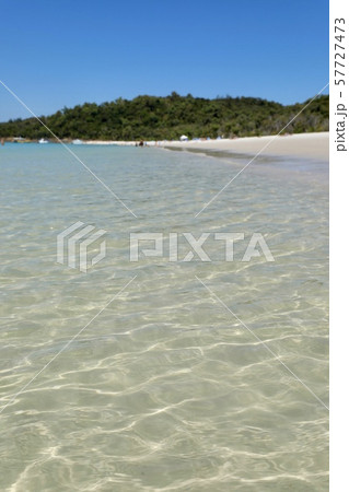 オーストラリ・ハミルトン島 57727473