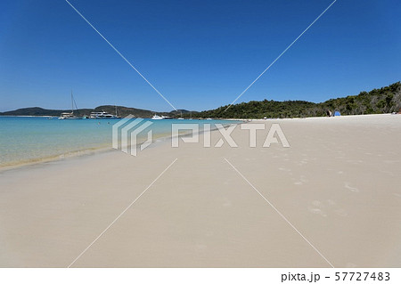 オーストラリ・ハミルトン島 57727483
