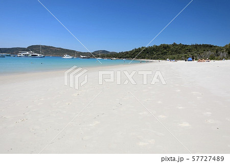 オーストラリ・ハミルトン島 57727489