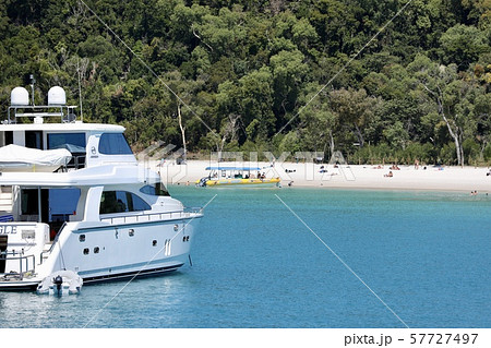 オーストラリ・ハミルトン島 57727497