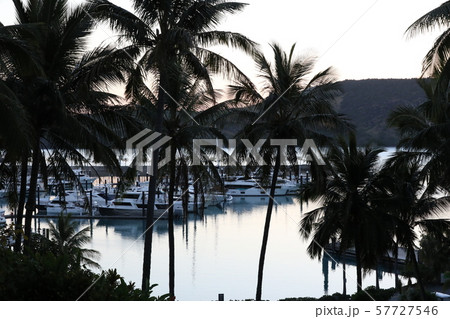 オーストラリ・ハミルトン島 57727546