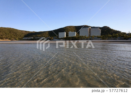 オーストラリア・ハミルトン島 57727612